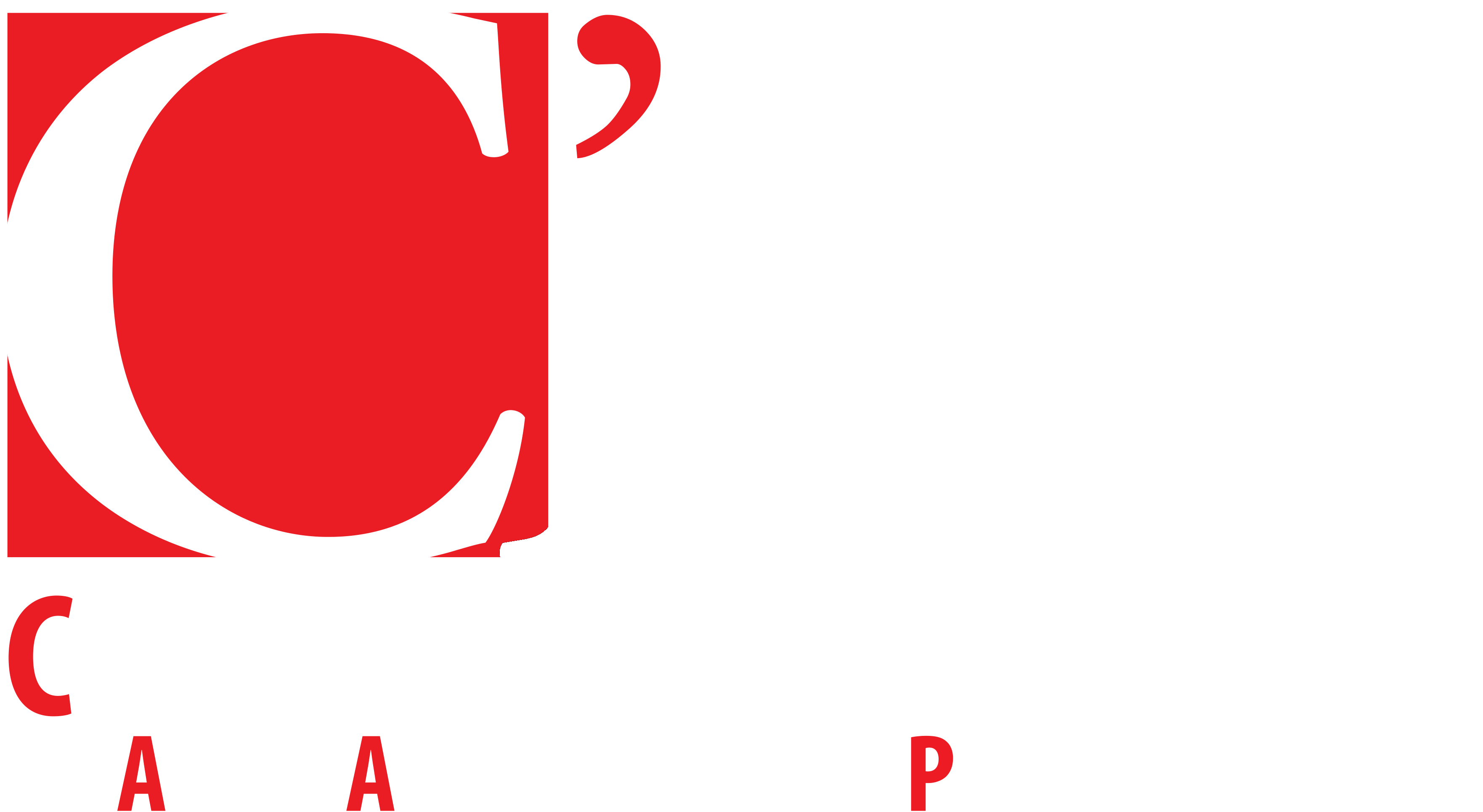 CAAP – Collezione Felicetti di Arte Antica e del Precinema